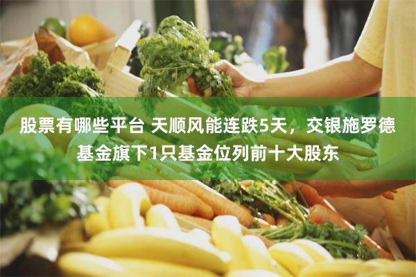 股票有哪些平台 天顺风能连跌5天，交银施罗德基金旗下1只基金位列前十大股东