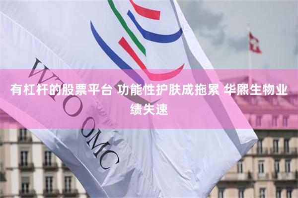 有杠杆的股票平台 功能性护肤成拖累 华熙生物业绩失速