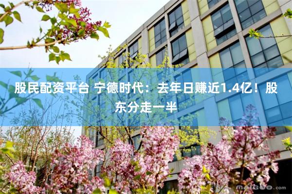 股民配资平台 宁德时代：去年日赚近1.4亿！股东分走一半