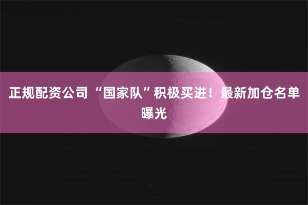 正规配资公司 “国家队”积极买进！最新加仓名单曝光