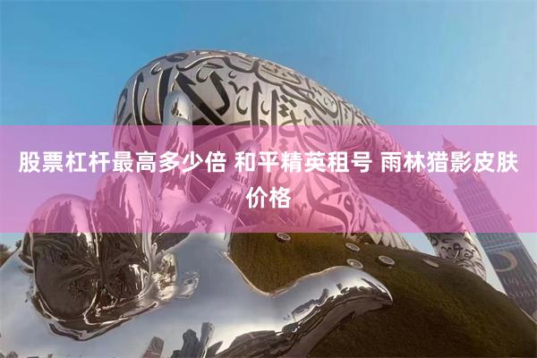 股票杠杆最高多少倍 和平精英租号 雨林猎影皮肤价格
