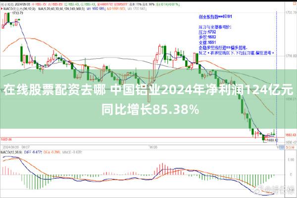 在线股票配资去哪 中国铝业2024年净利润124亿元 同比增长85.38%
