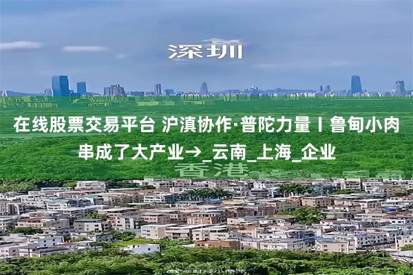 在线股票交易平台 沪滇协作·普陀力量〡鲁甸小肉串成了大产业→_云南_上海_企业