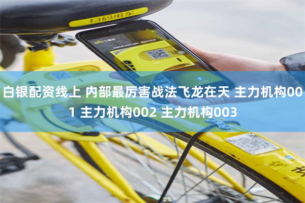 白银配资线上 内部最厉害战法飞龙在天 主力机构001 主力机构002 主力机构003