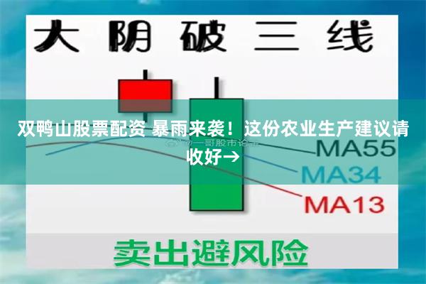 双鸭山股票配资 暴雨来袭！这份农业生产建议请收好→