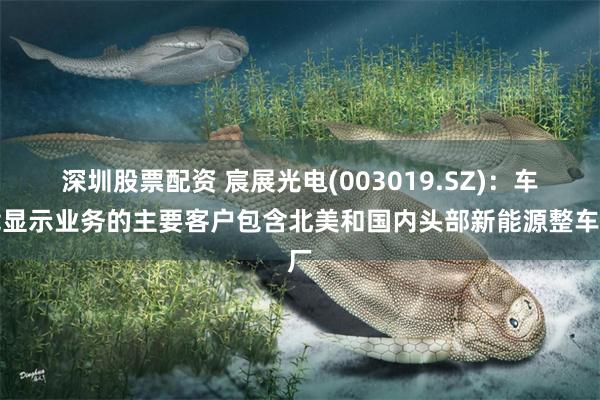 深圳股票配资 宸展光电(003019.SZ)：车载显示业务的主要客户包含北美和国内头部新能源整车厂