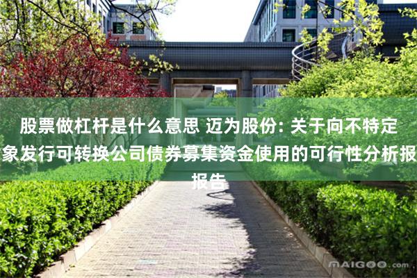 股票做杠杆是什么意思 迈为股份: 关于向不特定对象发行可转换公司债券募集资金使用的可行性分析报告