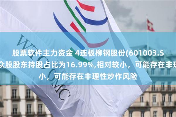 股票软件主力资金 4连板柳钢股份(601003.SH)：社会公众股股东持股占比为16.99%,相对较小，可能存在非理性炒作风险