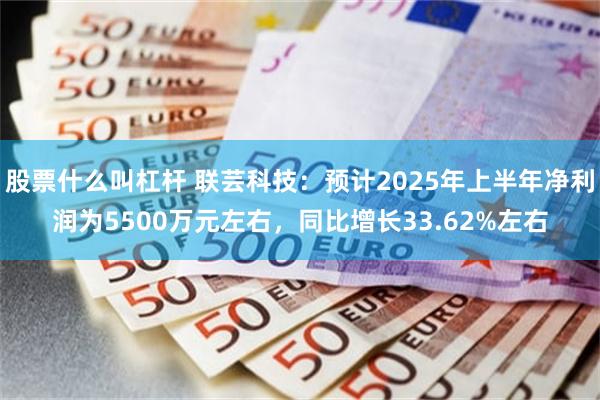 股票什么叫杠杆 联芸科技：预计2025年上半年净利润为5500万元左右，同比增长33.62%左右