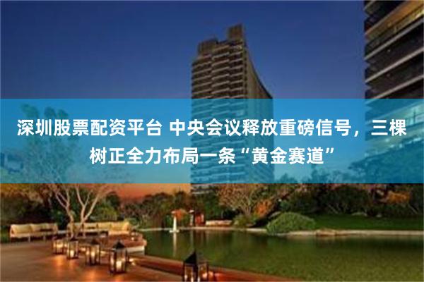 深圳股票配资平台 中央会议释放重磅信号，三棵树正全力布局一条“黄金赛道”