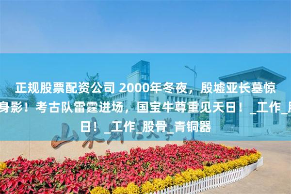 正规股票配资公司 2000年冬夜，殷墟亚长墓惊现摸金校尉身影！考古队雷霆进场，国宝牛尊重见天日！_工作_股骨_青铜器