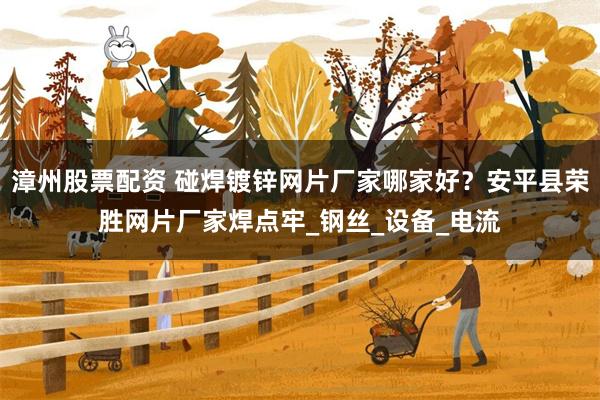 漳州股票配资 碰焊镀锌网片厂家哪家好？安平县荣胜网片厂家焊点牢_钢丝_设备_电流