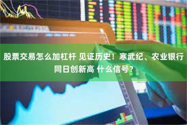 股票交易怎么加杠杆 见证历史！寒武纪、农业银行同日创新高 什么信号？