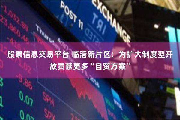 股票信息交易平台 临港新片区：为扩大制度型开放贡献更多“自贸方案”