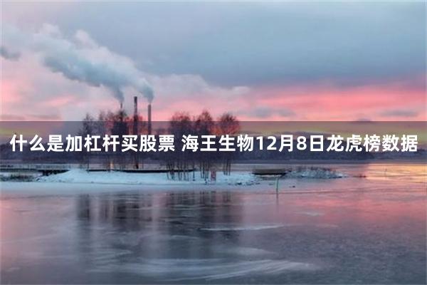 什么是加杠杆买股票 海王生物12月8日龙虎榜数据